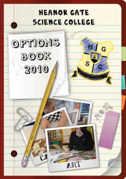 School Options Book Cover