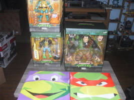 tmnt collection 209-214