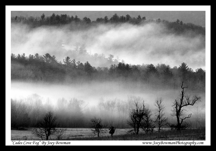 Cades Cove Fog