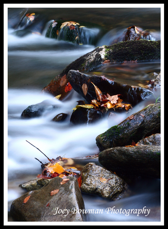 Autumn Stream