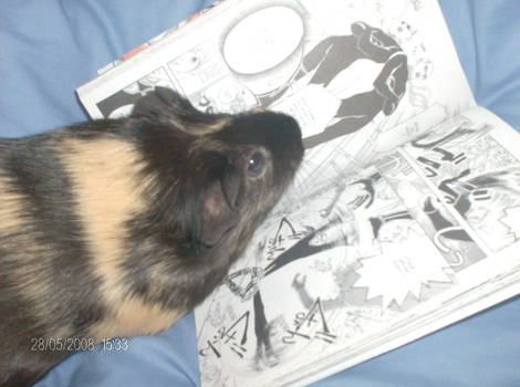 boehie  reading  sdk  manga