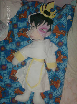 my new zuko plushie