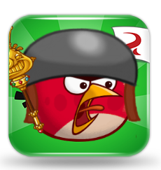 Angry birds fight