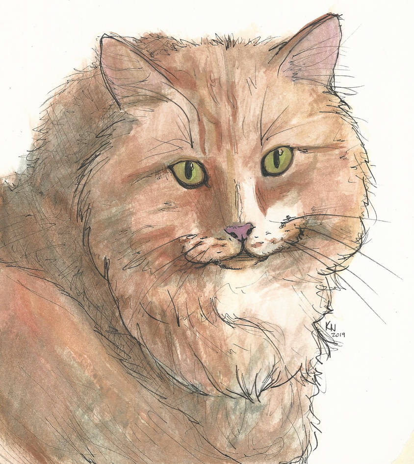 Ray the Cat (Gift) by sparklypiggy on DeviantArt