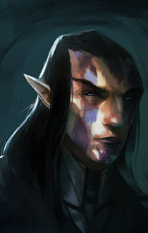 Elven Portrait 2 by ssandulak on DeviantArt