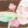Colored Pencils: Skull with Tulips