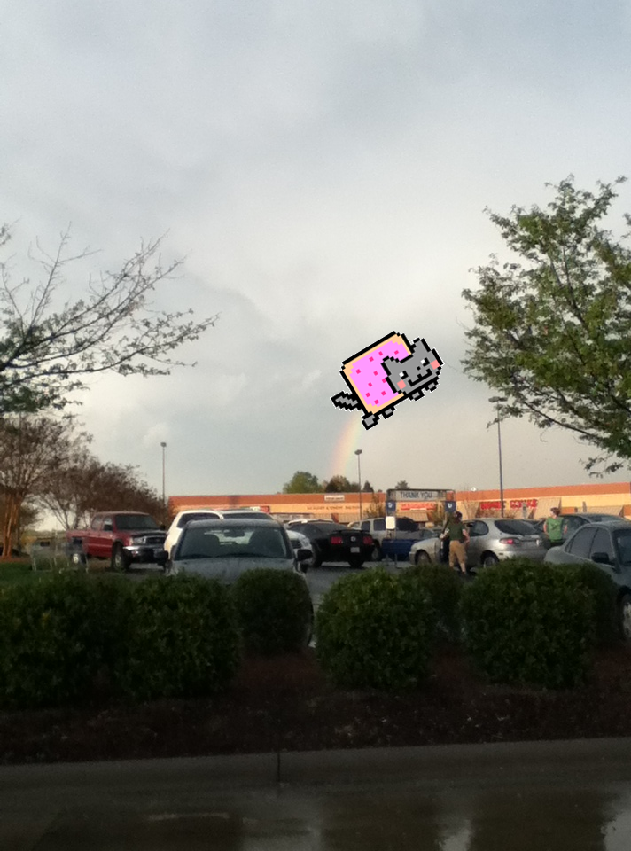 Nyan Cat: Find them at a gas station near you!!