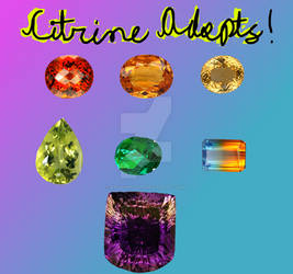 Colour Spec. Citrine Custom Adopts (PRICE CHANGE)