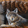 Wolf Feather Painting