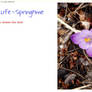 0407 Love is Life - Springtime