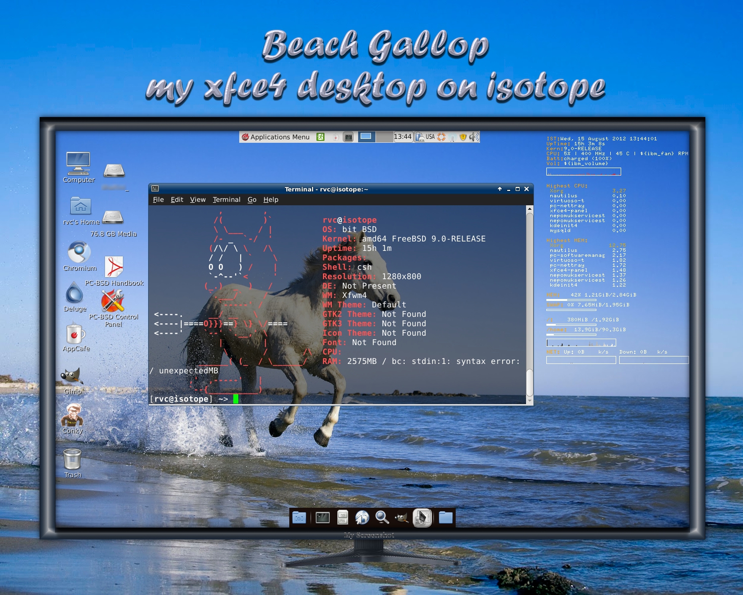 Beach Gallop - my xfce4 desktop