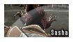 Attack On Titan Stamp: Sasha Barus 2 by wow1076