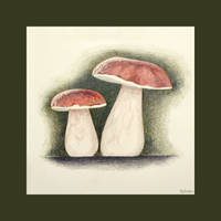 Cozy Brightember - Mushrooms