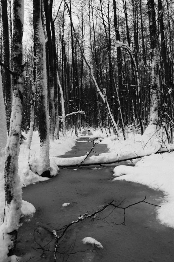 The Icy Path by caelumm on DeviantArt