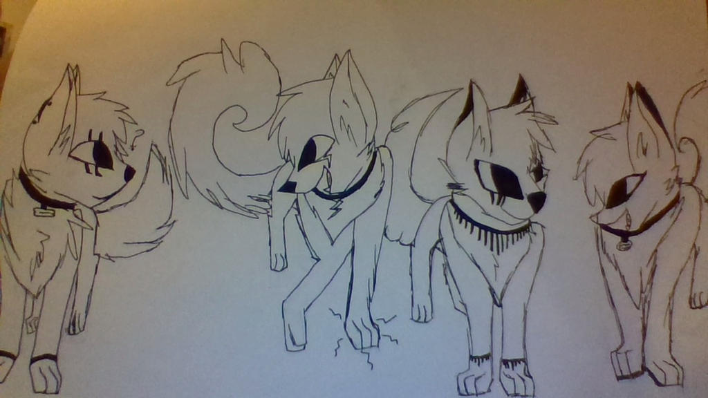 Cd Rudd Deviantart Wolfpack Wolf pack #2 by FlameBerryTheWolf on DeviantArt