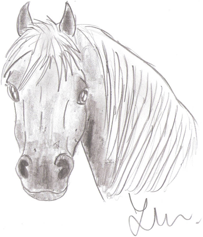 Horse