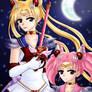 Sailor Moon and Chibi Moon