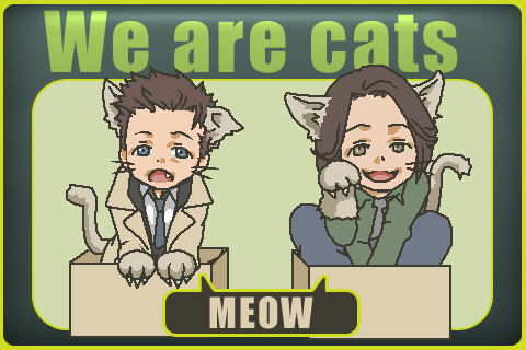 Kitten Sam and Cas