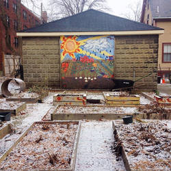 community garden