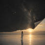 Torn Canopy | Unveiling the Dawn