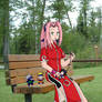 Haruno Sakura and her dolls