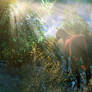 Hello Horsie