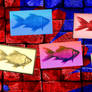 Fish Paintings on The Wall