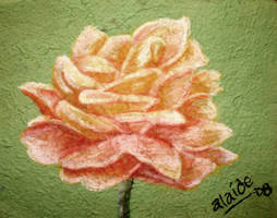 rosa pastel