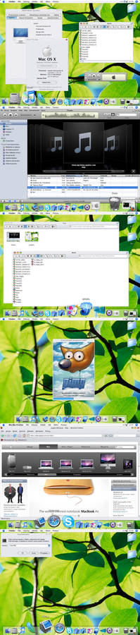 My Windows XP2