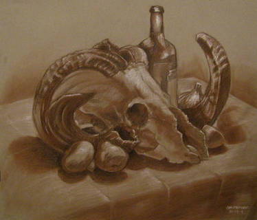 Skull Still Life