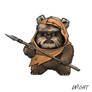 W is for Wicket