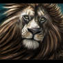 Aslan