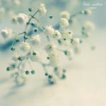 best wishes... by Megson