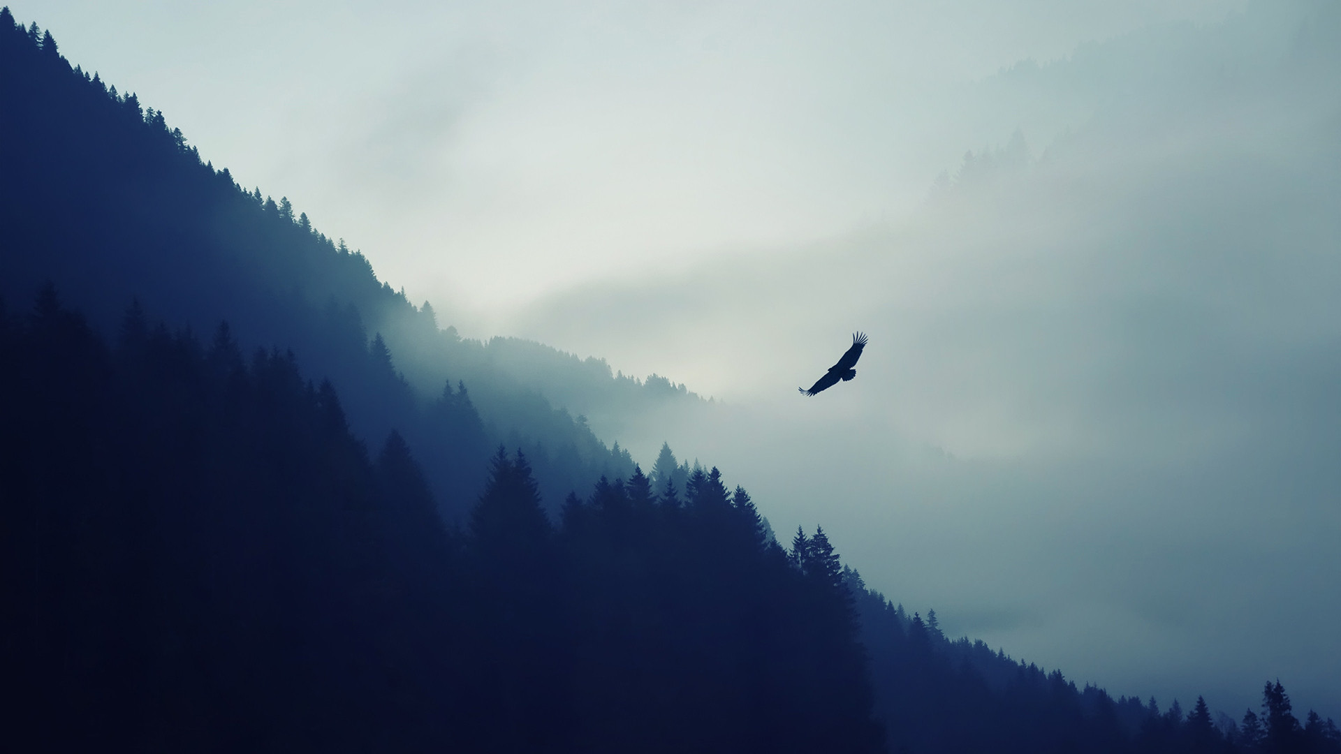 Nature Mountain Eagle Fog Landscape Ultrahd 4k Wal