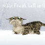 Unhappy Cat In Winter (Christmas card 2013)