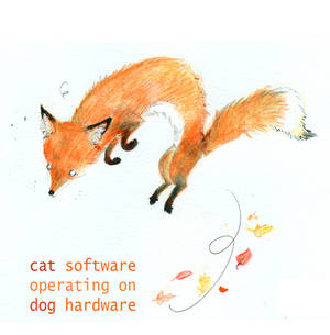 internet definition of a fox
