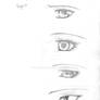 Vampire knight Eyes