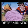 Determination