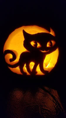 Kitty Jack O'Lantern (Lit Up)