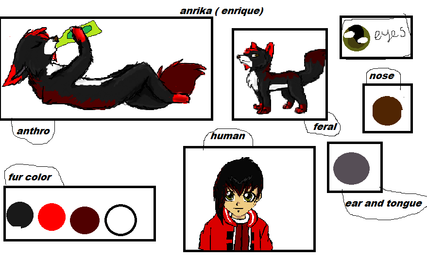 anrika reference sheet