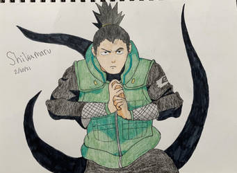 Shikamaru from naruto