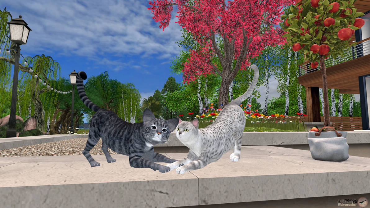 VRChat | Two Cats by MR796GO on DeviantArt