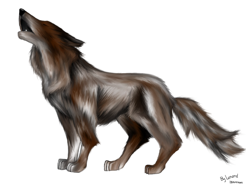 Loup qui hurle by Lunard9 on DeviantArt