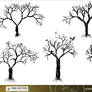 Tree Silhouettes Vector Set