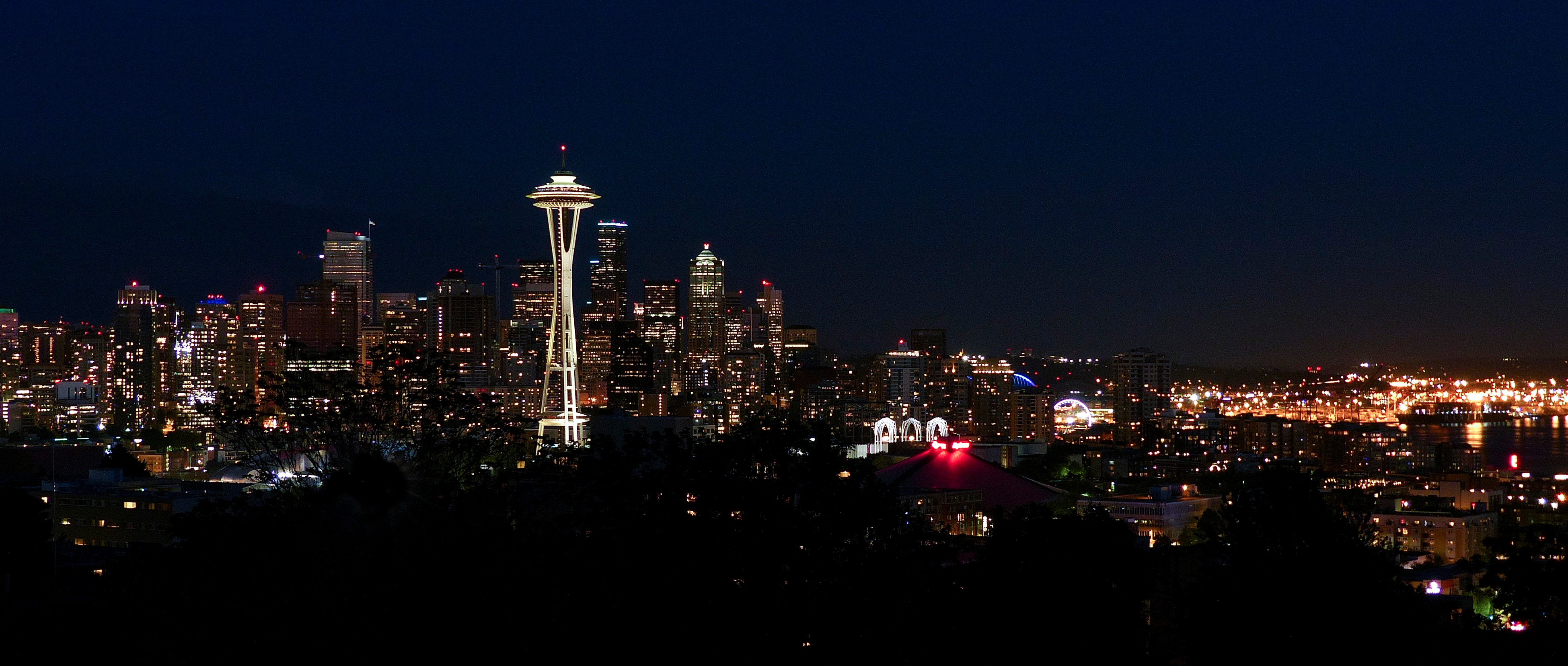Seattle Skyline 5