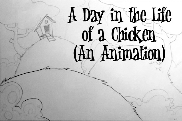 Chicken Animation