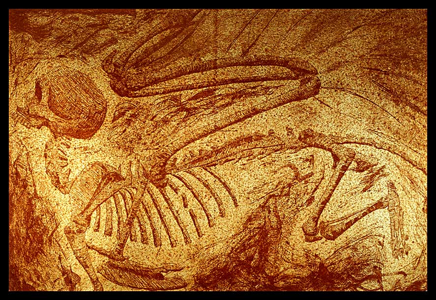 Sphinx Fossil