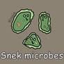 Day 265: Snek microbes [365 days of snek Project]