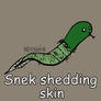 Day 309: Snek shedding skin [365 days of snek Proj