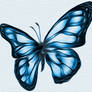 Beautiful Butterfly